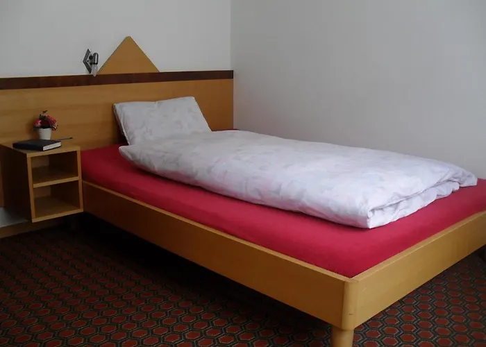 Hotel Restaurant Aletsch 2*